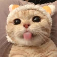 Andrea Hirata avatar