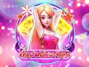 Wild Disco Night