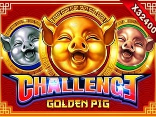 Challenge Golden Pig